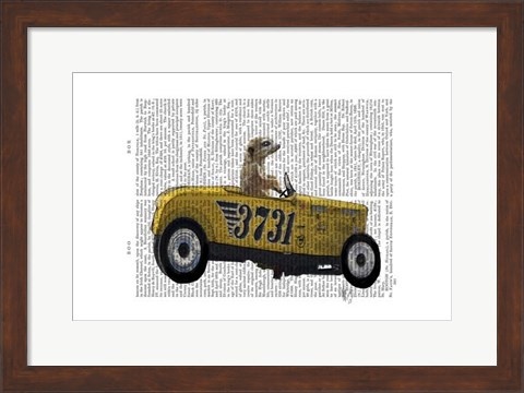 Framed Meerkat in Hot Rod Print