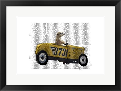 Framed Meerkat in Hot Rod Print