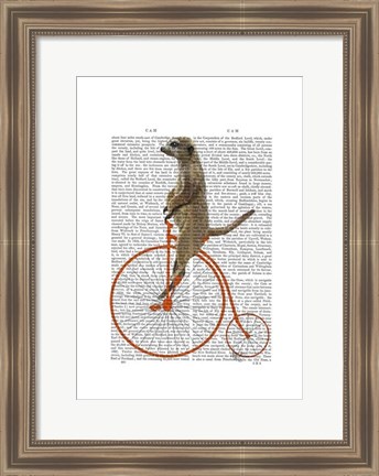 Framed Meerkat on Orange Penny Farthing Print