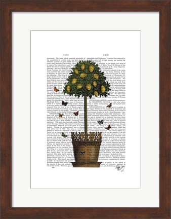 Framed Lemon Tree Print