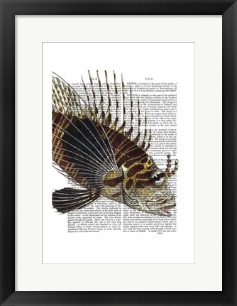 Framed Vintage Spiky Fish Print