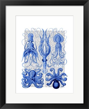 Framed Octopus &amp; Squid Blue Print