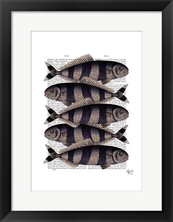 Framed Five Striped Fish Print