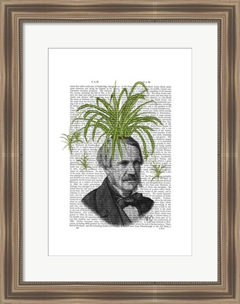 Framed Spider Plant Head Print
