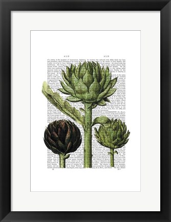 Framed Globe Artichoke Print 1 Print