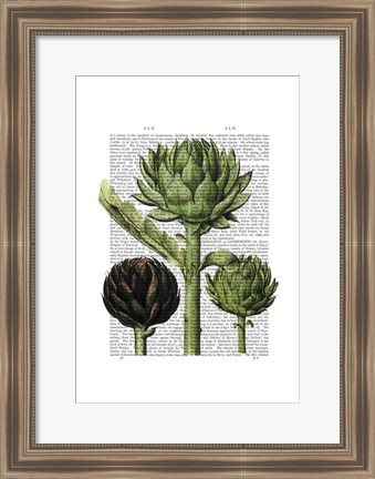 Framed Globe Artichoke Print 1 Print