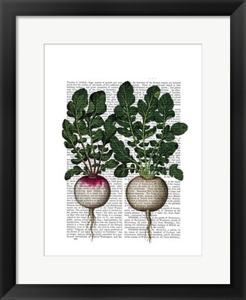 Framed Radishes Print Print