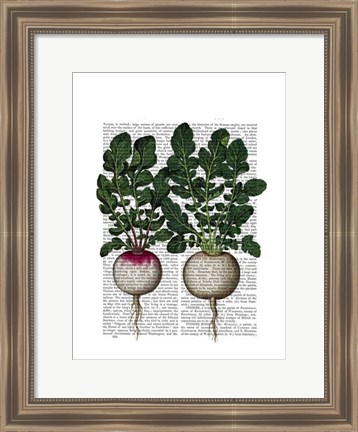 Framed Radishes Print Print