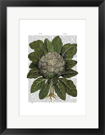 Framed Cauliflower Print