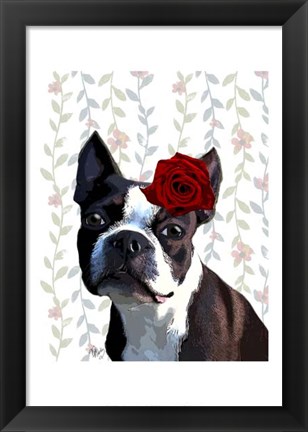 Framed Boston Terrier with Rose on Head Print