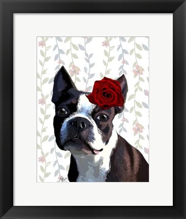 Framed Boston Terrier with Rose on Head Print