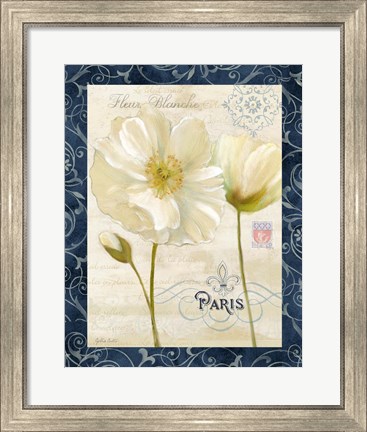 Framed Paris Poppies w/Navy Border II Print