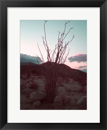 Framed Desert Plants And Sunset Print