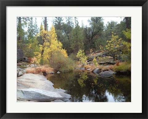 Framed Lake In The Forest Print