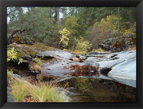 Framed Lake In The Forest 1 Print