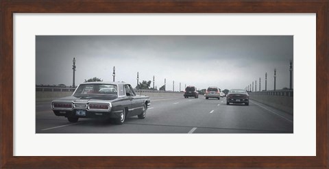 Framed T Bird Print