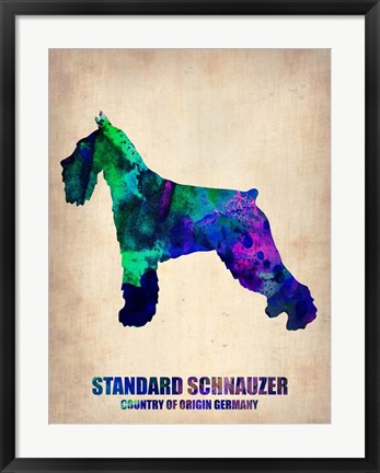 Framed Standard Schnauzer Print