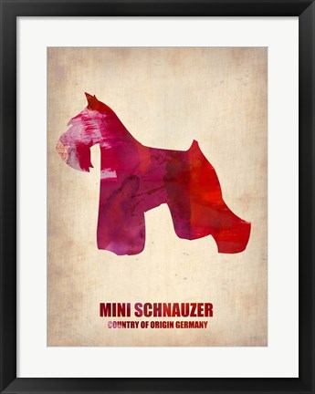 Framed Miniature Schnauzer 1 Print