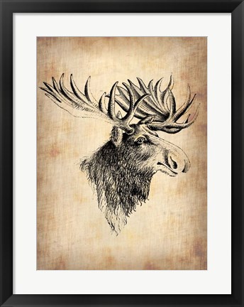 Framed Vintage Moose Print