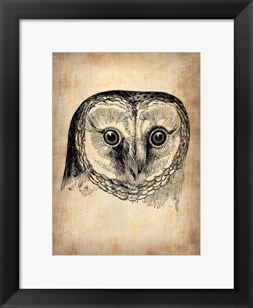 Framed Vintage Owl Print