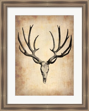 Framed Vintage Deer Scull Print