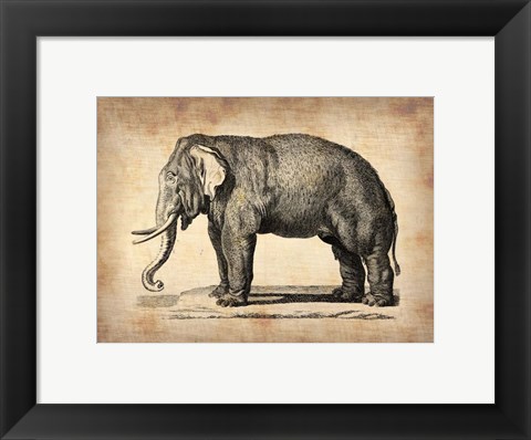 Framed Vintage Elephant Print