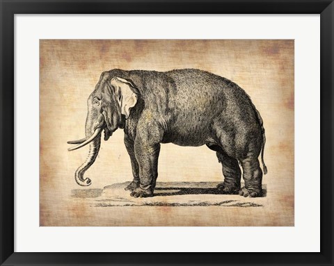 Framed Vintage Elephant Print