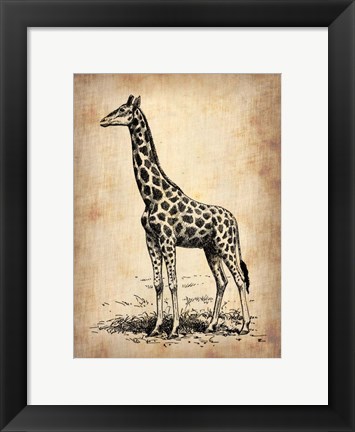 Framed Vintage Giraffe Print