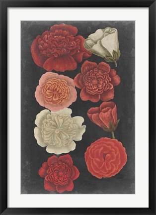 Framed Midnight Roses Print