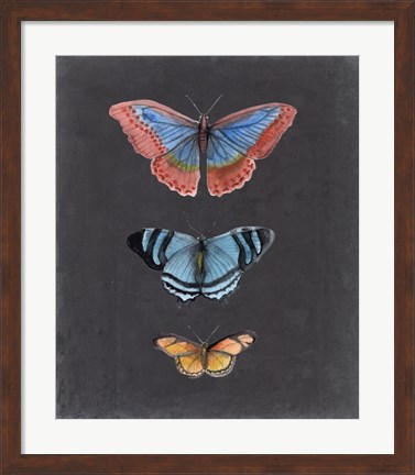 Framed Butterflies on Slate III Print