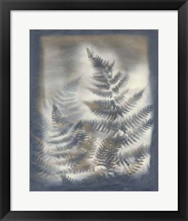 Framed Shadows &amp; Ferns V Print