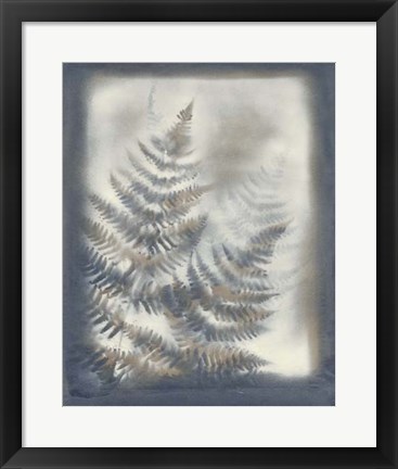 Framed Shadows &amp; Ferns VI Print