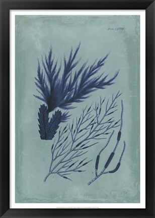 Framed Indigo &amp; Azure Seaweed II Print