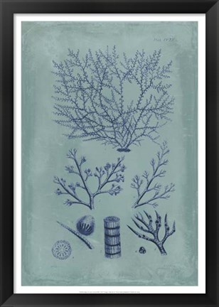 Framed Indigo &amp; Azure Seaweed III Print