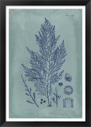 Framed Indigo &amp; Azure Seaweed IV Print