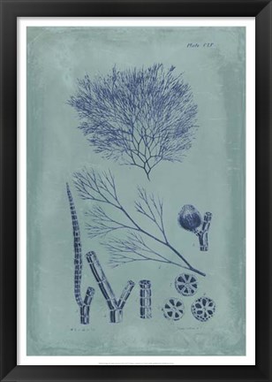 Framed Indigo &amp; Azure Seaweed VI Print