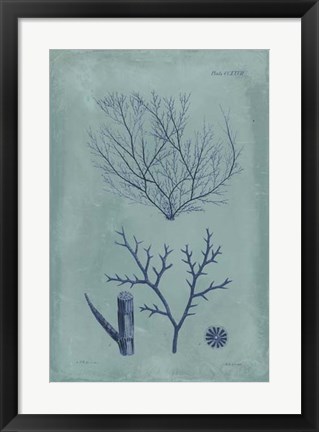 Framed Indigo &amp; Azure Seaweed VII Print