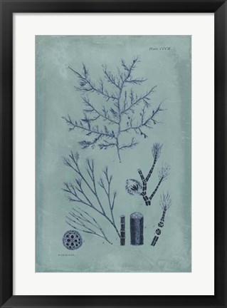 Framed Indigo &amp; Azure Seaweed VIII Print