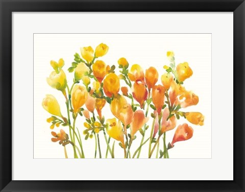 Framed Freesia I Print