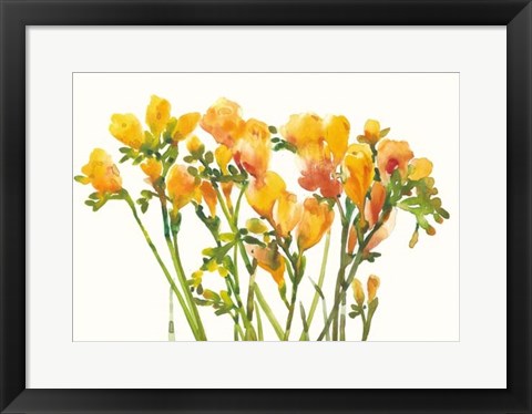 Framed Freesia II Print