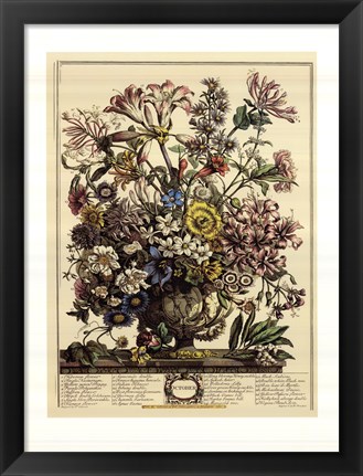 Framed October/Twelve Months of Flowers, 1730 Print