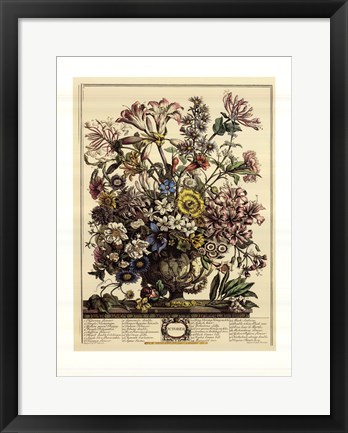 Framed October/Twelve Months of Flowers, 1730 Print