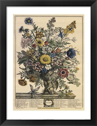 Framed November/Twelve Months of Flowers, 1730 Print