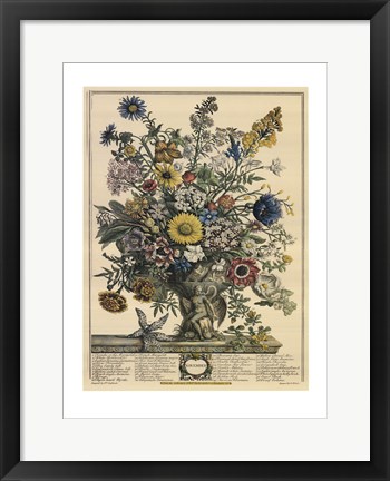 Framed November/Twelve Months of Flowers, 1730 Print