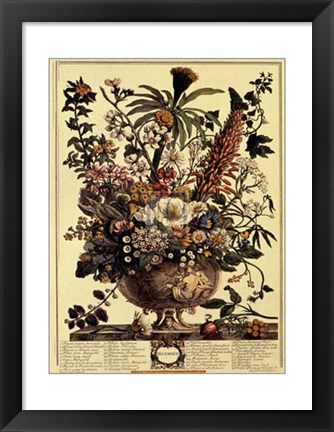 Framed December/Twelve Months of Flowers, 1730 Print