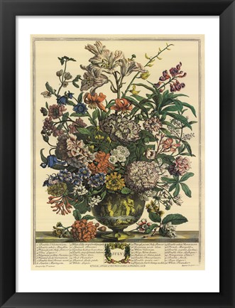 Framed July/Twelve Months of Flowers, 1732 Print