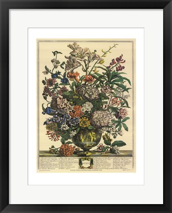 Framed July/Twelve Months of Flowers, 1732 Print