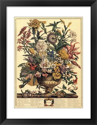 Framed September/Twelve Months of Flowers, 1730 Print