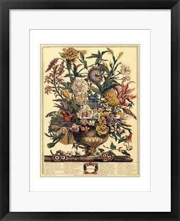 Framed September/Twelve Months of Flowers, 1730 Print