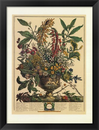 Framed January/Twelve Months of Flowers, 1732 Print